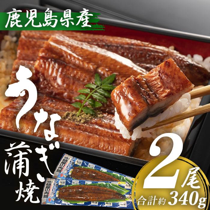 鹿児島県産 うなぎ蒲焼き 約170g×2尾 (タレ・山椒付き)  特大 国産 九州産 鹿児島産 薩摩川内うなぎ 冷凍 鹿児島 誕生日 御歳暮 お祝い お礼 内祝い 退職祝い