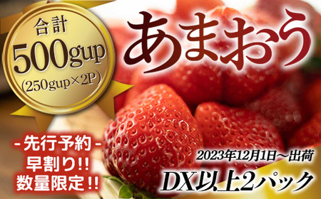 MZ038福岡県産 あまおうDX以上 500g 2パック 先行予約 2023年12月1日～12月30日に順次発送