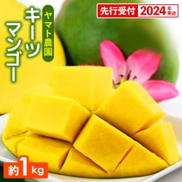 ヤマト農園　キーツマンゴー約1kg