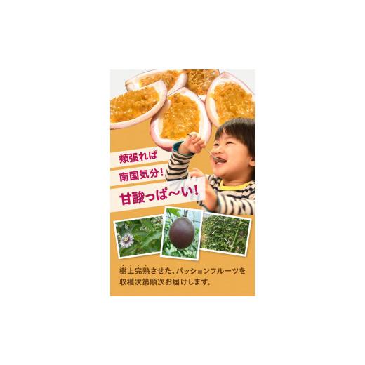 ふるさと納税 鹿児島県 奄美市 農薬・化学肥料不使用　奄美パッションフルーツ1kg（12個前後）家庭用 パッションフルーツ 奄美産 家庭用 …