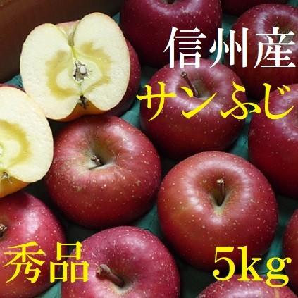 長野産　サンふじ　秀品　約5kg　10玉〜16玉　産地直送　ご贈答、御歳暮に