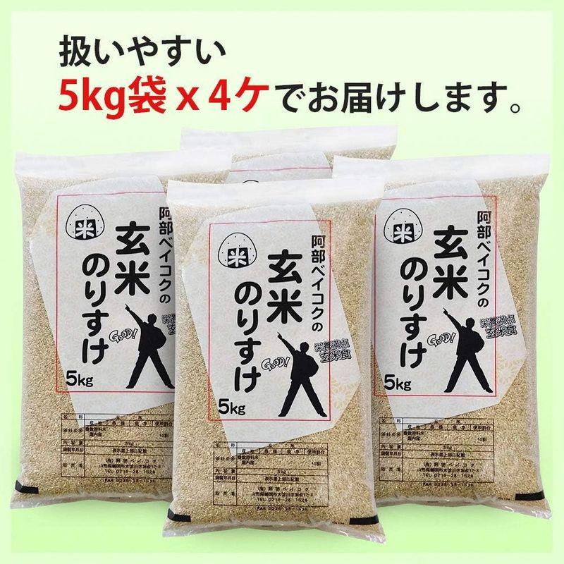 玄米 20kg (5kgx4袋) 玄米のりすけ 国内産100％