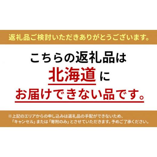 ふるさと納税 茨城県 結城市 ＜2024年1月〜２月発送＞石井果樹園のキウイフルーツ（結城市産ヘイワード）約4kg [No.5802-0840]