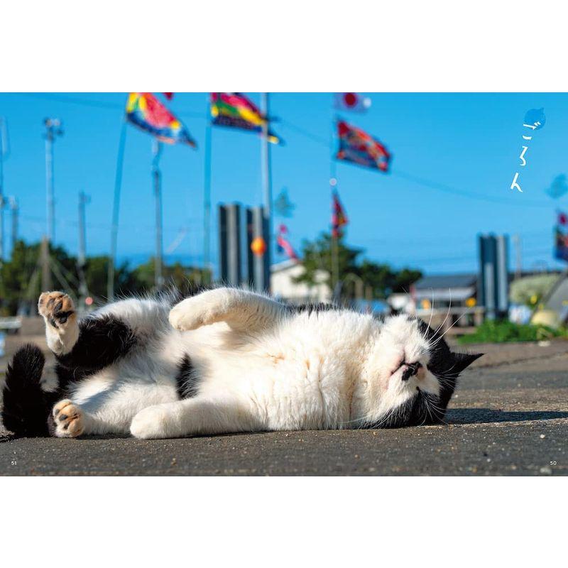 日本の島のごきげんな猫