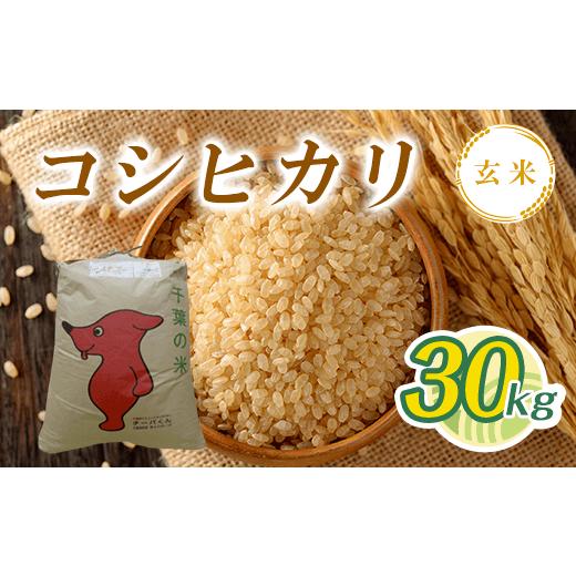 ふるさと納税 千葉県 大多喜町 T03501 令和5年産 コシヒカリ玄米 30kg