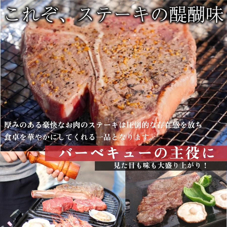 サーロインステーキ600g(300g×2枚) グリルセレクション BBQ アウトドア キャンプ用