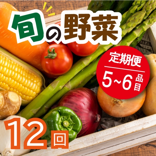 野菜 お楽しみ 定期便 12回 有機野菜 5～6品目 詰め合わせ セット 有機栽培 玉ねぎ とまと じゃがいも