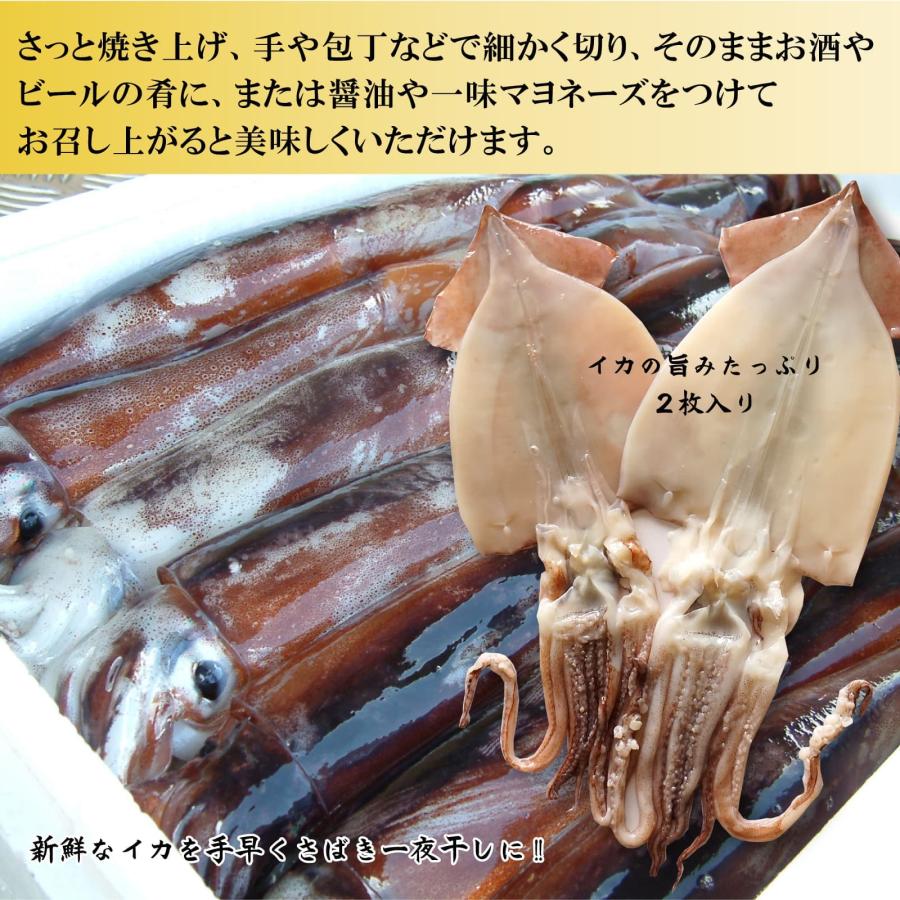 干物 いか一夜干し 2枚入り 塩焼き、炒め物、バター焼き プリプリとやわらかイカの開き お酒の肴としても