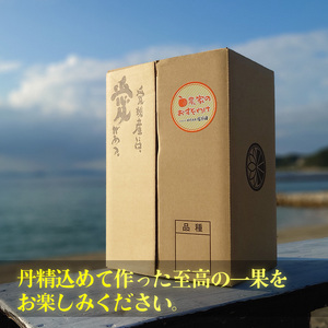 せとか B品 家庭用3kg ｜ 訳あり みかん 訳あり みかん 柑橘 訳あり みかん あいか 訳あり みかん  訳あり みかん  訳あり みかん フルーツ 訳あり みかん 果物 訳あり みかん デザート 訳あり 家庭用 訳あり みかん 蜜柑 訳あり 松山市産  みかん 家庭用 訳あり 最高級 みかん 訳あり 高級 みかん 年末企画 訳あり 在庫あり 訳あり 年末企画 在庫あり FN-SupportProject FN-SupportProject ご当地 愛媛県 松山市 