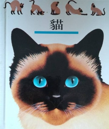 貓[二手書_良好]