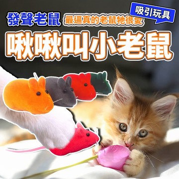 寵物發聲玩具 會叫的老鼠 老鼠 貓玩具 狗玩具 毛大二寵物店