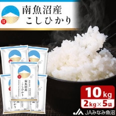 JAみなみ魚沼不動の人気「南魚沼産こしひかり」精米 10kg(2kg×5袋)