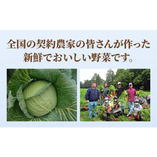 ふるさと納税 佐賀県 吉野ヶ里町 ＜リンガーハット人気サイドメニューをセットで！＞チャーハン   ぎょうざ（12個入）各4食セット ＜合計8食＞…