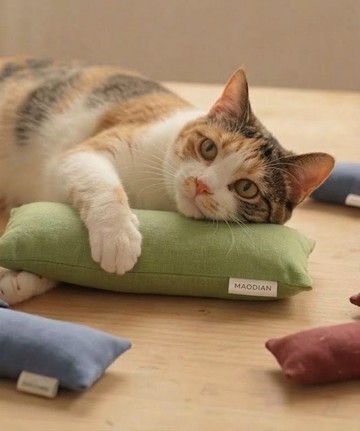 手工定制簡約柔軟貓咪薄荷棒 Organic Catnip Bolster Cat Toys