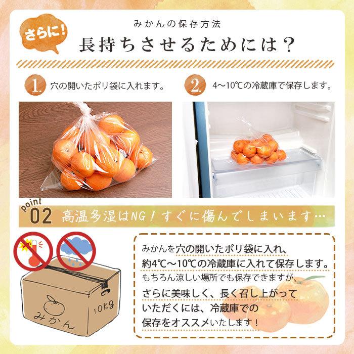 みかん 三ヶ日 4kg ミカン 4キロ mikan 高平農園 三ケ日 静岡産 農家直送 産地直送 早生 青島 フルーツ プレゼント お歳暮 ギフト お年賀 小玉 小粒 s mサイズ