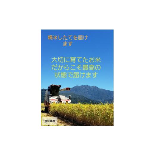 ふるさと納税 新潟県 南魚沼市 南魚沼産コシヒカリ　白米１０ｋｇ（５ｋｇ×２）