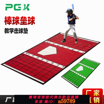 【全網低價 可打統編】棒壘球教學打擊墊地墊加大型加厚耐用打擊館訓練練習比賽假草墊