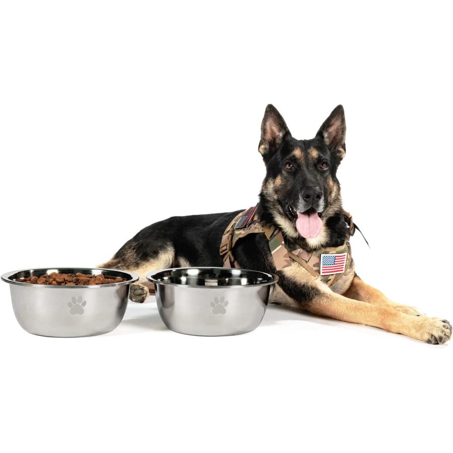 Giant best sale dog bowl