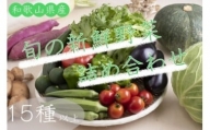 旬の新鮮野菜詰め合わせたっぷり15種以上