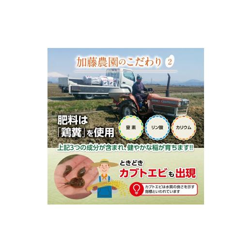 ふるさと納税 山形県 酒田市 SE0192　令和5年産 無洗米 雪若丸　5kg×6回(計30kg)「農家直送」 KA