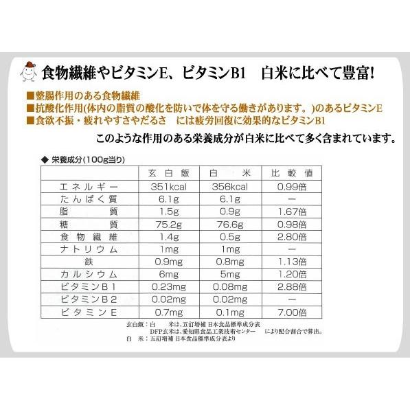 ポイント5倍 無洗米 玄白飯 2合(300g)×1袋 ひとめぼれ メール便送料込 ポイント消化 令和5年産 (玄米と白米を1:1でブレンド) 米 お試し（SL）