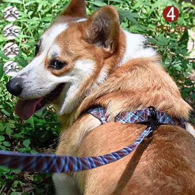 中型犬 大型犬 リードの通販 12 300件の検索結果 Lineショッピング