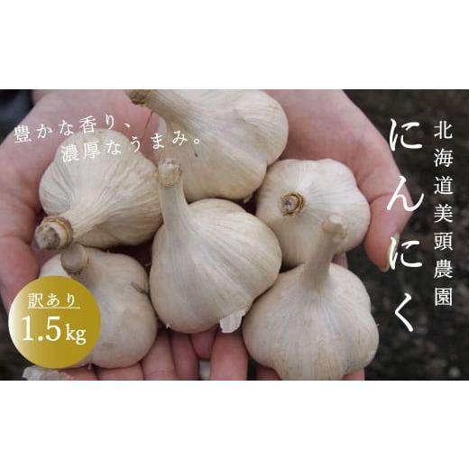 ふるさと納税 北海道 当麻町 訳ありニンニク1.5kg