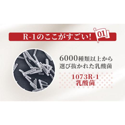 ふるさと納税 京都府 京田辺市 明治プロビオヨーグルトR-1ドリンクタイプ