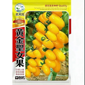 【台灣原裝黃聖女果種子】 玉女小番茄 黃金小番茄 生吃水果番茄 陽台盆栽種子 家庭菜園種植 自栽安全蔬