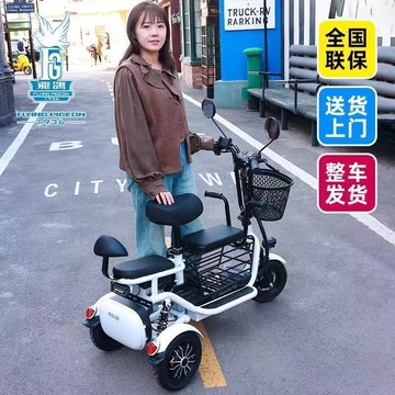 公司貨 開發票 飛鴿電動三輪車國標車老人電瓶車老年代步三輪電動車男女士 免運最低價 快速出貨