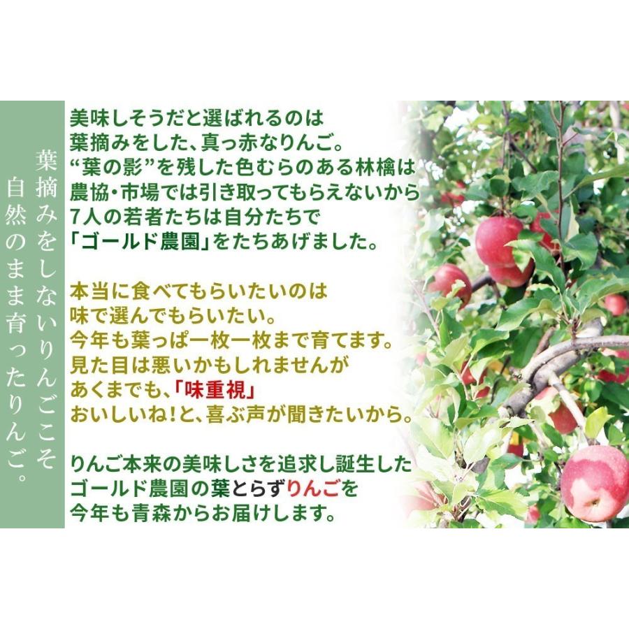 葉っぱの影は甘さのサイン贈答用(8-10玉)青森 送料無料 [※産地直送のため同梱不可]「GOLD」