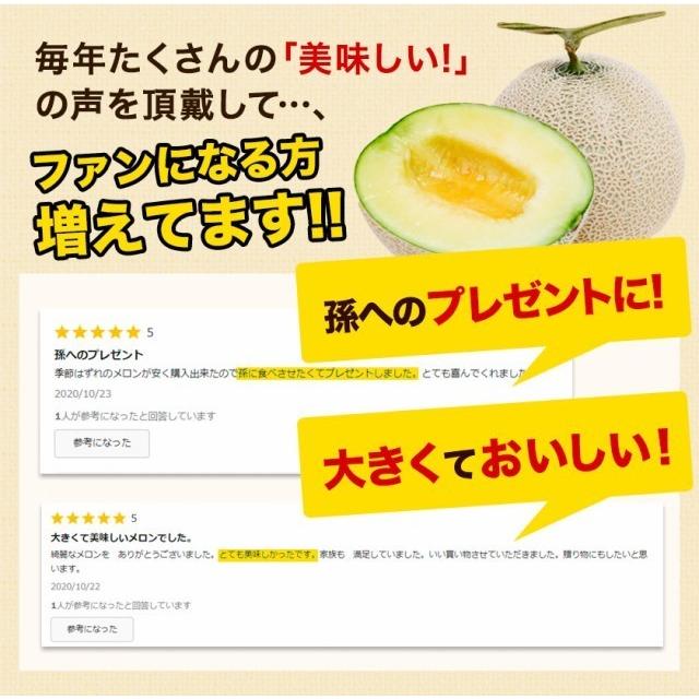 お歳暮 ギフト 九州産 マスクメロン 秀品 1玉 2Lサイズ 1.2kg以上 送料無料 メロン 高級メロン 果物 フルーツ 7-14営業日以内に出荷