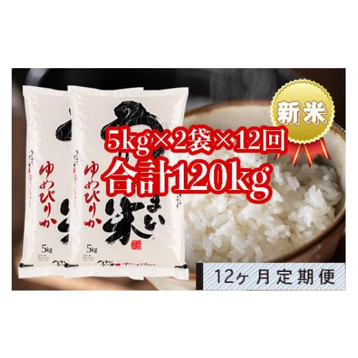 ふるさと納税 北海道 雨竜町 うりゅう米「ゆめぴりか」5kg×2袋 定期便！毎月1回・計12回お届け