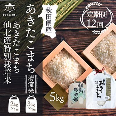 ふるさと納税 秋田市 秋田県産あきたこまち3kg・仙北産こまち特栽米2kg食べ比べセット全12回