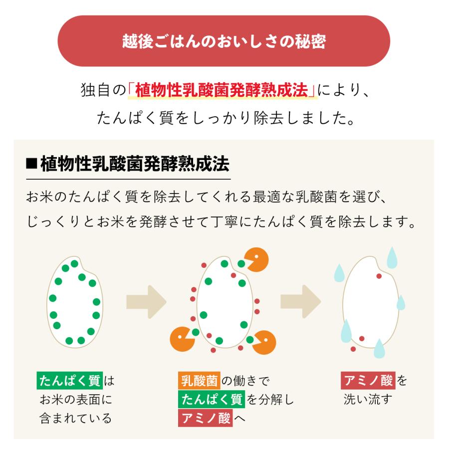 12.5越後米粒タイプ 使い切りパック 130g×4袋 低たんぱく 米 ごはん お試し バイオテックジャパン