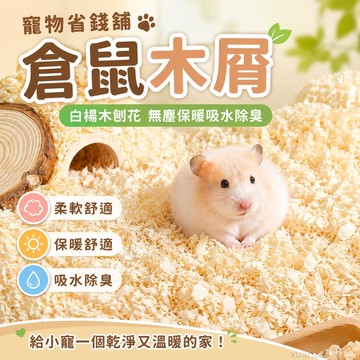 寵物省錢鋪】倉鼠木屑白楊木刨花無塵保暖吸水除臭柔軟金絲熊小鳥專用小寵墊料 寵物用品 出貨 倉鼠墊料 倉鼠用品 木屑倉鼠