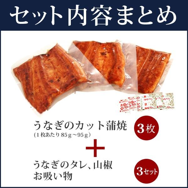 お歳暮 ギフト 2023 国産 うなぎ 蒲焼き 食べ物 誕生日 送料無料 プレゼント 土用の丑の日 鰻 蒲焼3枚 お年賀 御歳暮 御年賀 化粧箱 Bset 2〜3人用 AB