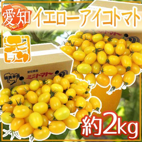 愛知県産 ”イエローアイコトマト” 秀品 約2kg 送料無料