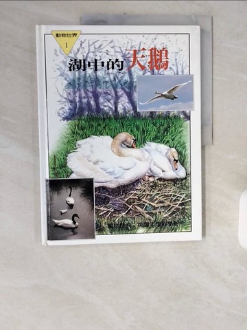【書寶二手書T1／少年童書_ZID】湖中的天鵝