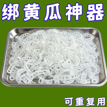 🔥臺灣出貨🔥黃瓜西紅柿豆角爬藤枝條固定器綠植蔬菜捆綁紮帶藤蔓專用吊秧夾