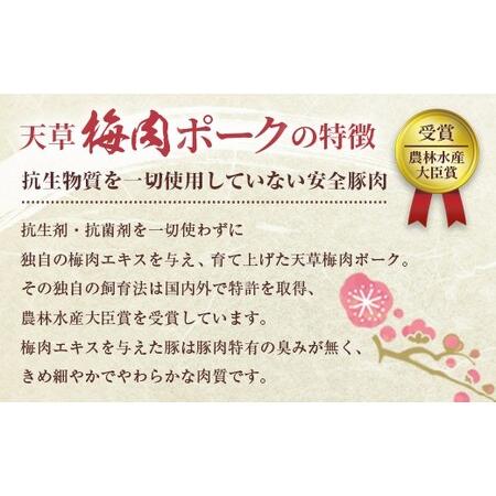 ふるさと納税 熊本県産 天草梅肉ポーク 豚ロース しゃぶしゃぶ用 800g 冷凍 熊本県上天草市