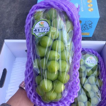 水果網套防震保護套葡萄包菜泡沫網袋網兜發泡陽光玫瑰紫包裝套袋