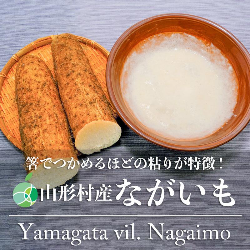 山形村産ながいも　長芋　やまいも　2-3L　約5Kg　長野県山形村産　お歳暮　御歳暮　ギフト