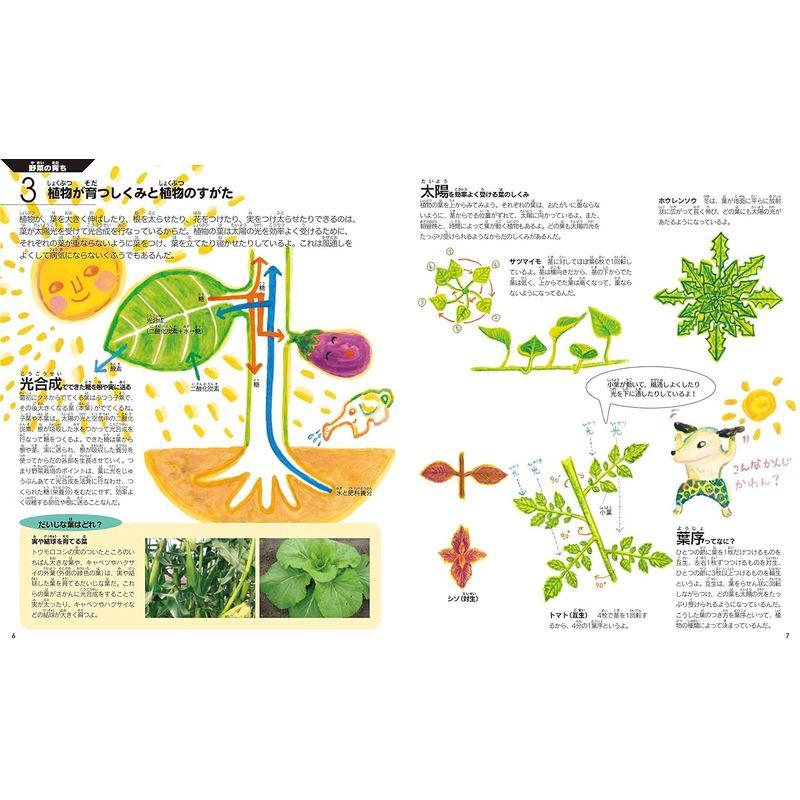 農作業の絵本 野菜の栽培と診断