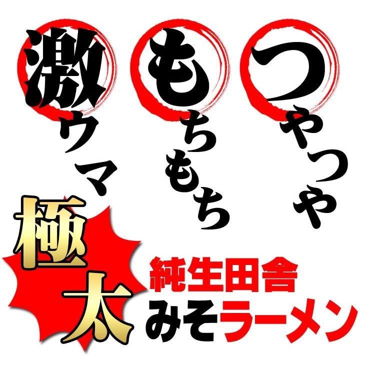  讃岐 生太 田舎 味噌ラーメン 4食セット 送料無料 もちもちすぎる セール ポイント消化 お取り寄せ 特産品 みそラーメン