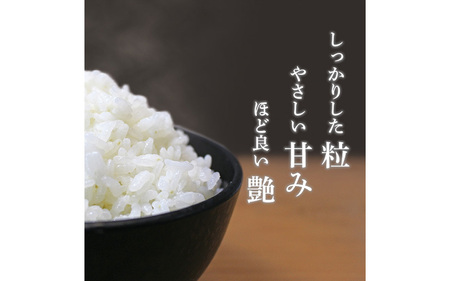 さんさん池見二代目がお届けする 福井県産いちほまれ 5kg × 2回 計10kg（上白米） [B-0210_01]