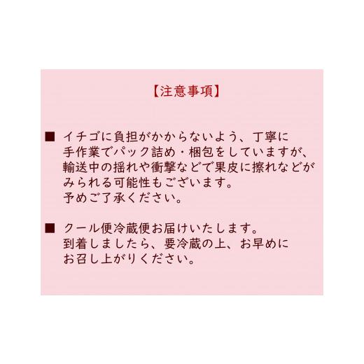 ふるさと納税 埼玉県 嵐山町 埼玉県嵐山町産とちおとめ　完熟イチゴ4パックセット