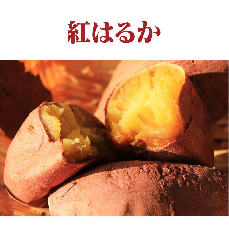 さつまいも 紅はるか 5kg 送料無料 熊本産 生芋 さつま芋 唐芋 からいも べにはるか ＜予約2023年12月上旬より出荷予定＞