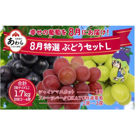 ふるさと納税 福井県 あわら市 8月特選 ぶどうセットL 1.7kg以上（3〜4房）／ 葡萄 シャインマスカット シャイン 品種 おまかせ あわら 農家おす…