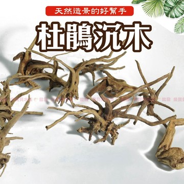 【魚寶貝】杜鵑沉木 ●水族裝飾品 (天然沉木杜鵑木水族造景沉木造景水草造景杜鵑根水族箱造景水族沉木沈木天然造景水草沈木)